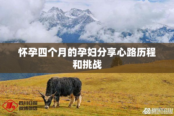 怀孕四个月的孕妇分享心路历程和挑战