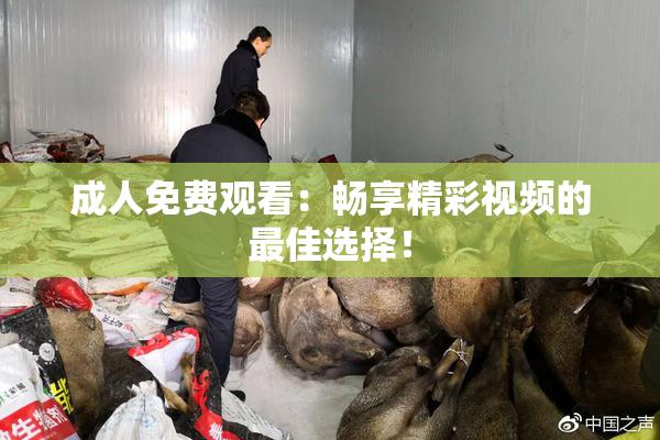 成人免费观看：畅享精彩视频的最佳选择！