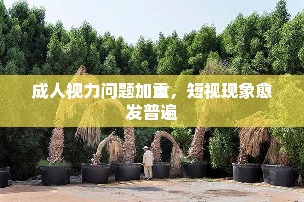 成人视力问题加重，短视现象愈发普遍
