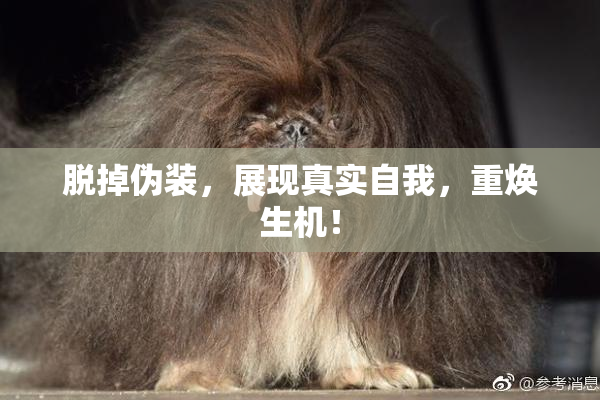 脱掉伪装，展现真实自我，重焕生机！
