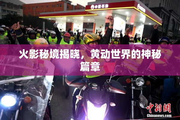 火影秘境揭晓，黄动世界的神秘篇章