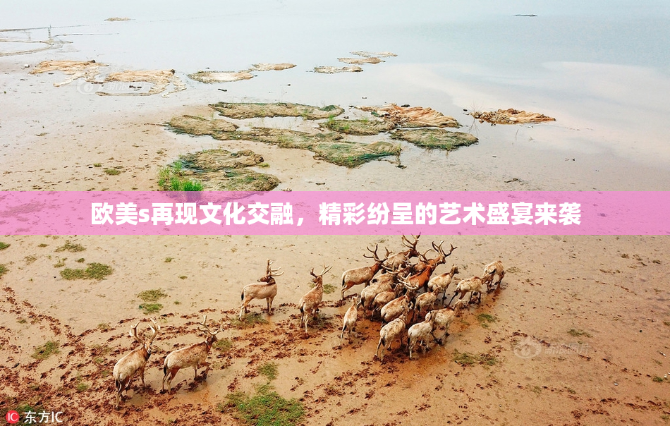 欧美s再现文化交融，精彩纷呈的艺术盛宴来袭