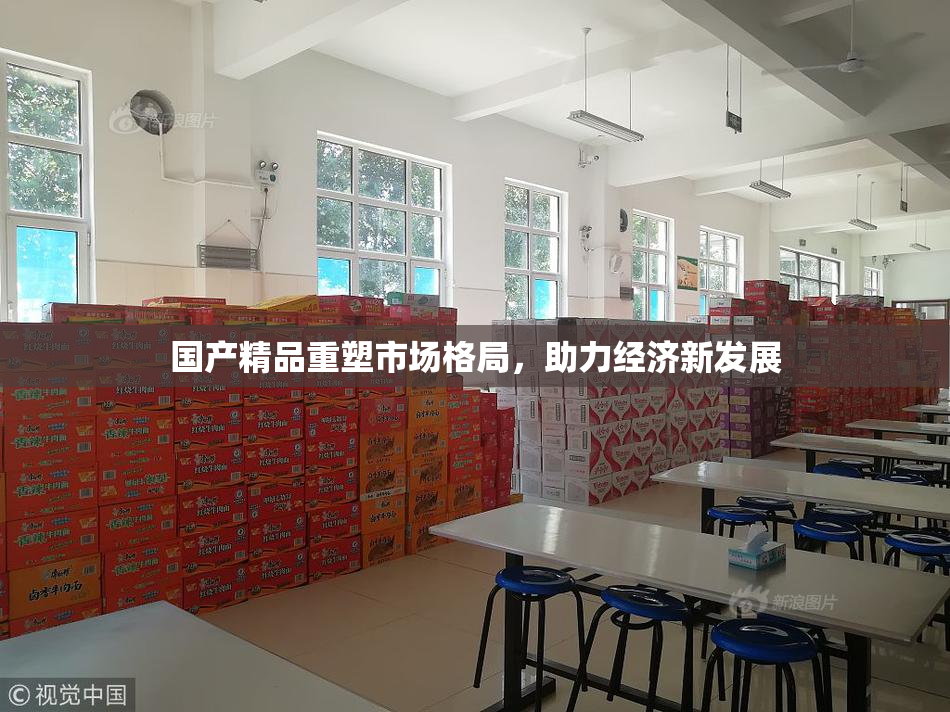 国产精品重塑市场格局，助力经济新发展
