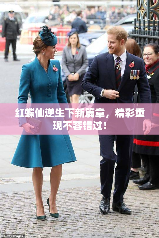 红蝶仙逆生下新篇章，精彩重现不容错过！