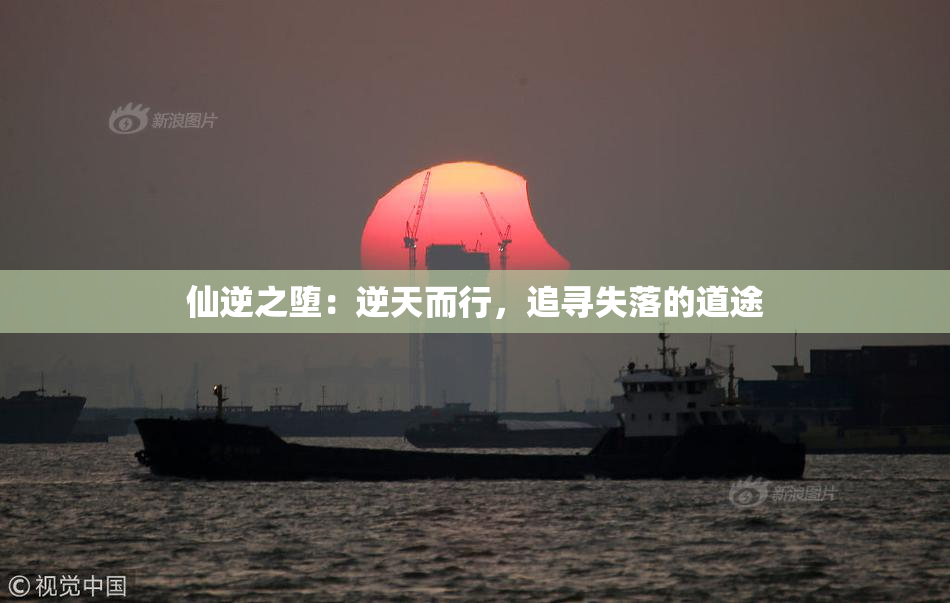 仙逆之堕：逆天而行，追寻失落的道途