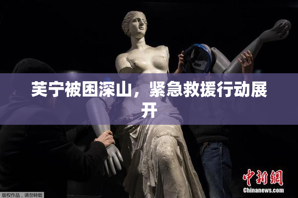芙宁被困深山，紧急救援行动展开