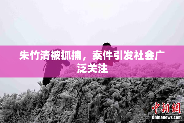 朱竹清被抓捕，案件引发社会广泛关注