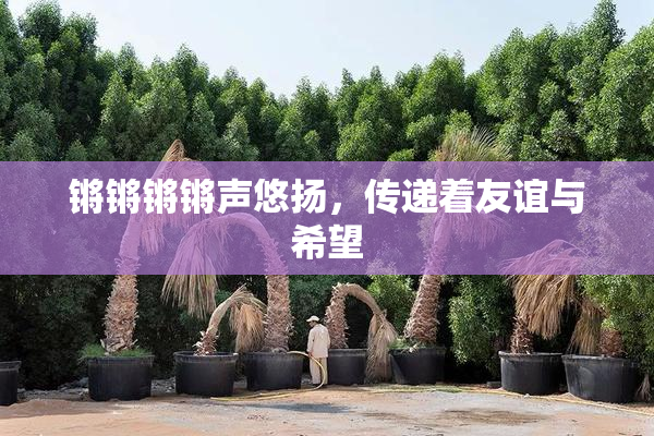 锵锵锵锵声悠扬，传递着友谊与希望