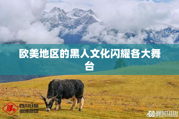欧美地区的黑人文化闪耀各大舞台