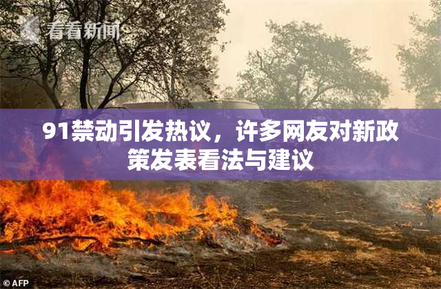 91禁动引发热议，许多网友对新政策发表看法与建议