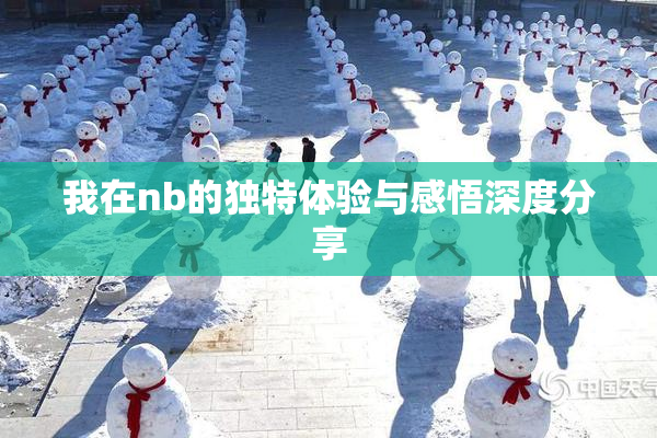 我在nb的独特体验与感悟深度分享