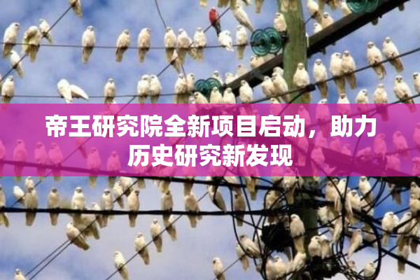 帝王研究院全新项目启动，助力历史研究新发现