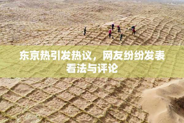 东京热引发热议，网友纷纷发表看法与评论