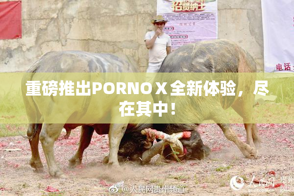 重磅推出PORNOⅩ全新体验，尽在其中！
