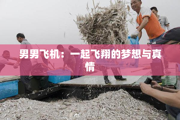 男男飞机：一起飞翔的梦想与真情