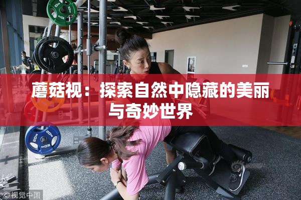 蘑菇视：探索自然中隐藏的美丽与奇妙世界