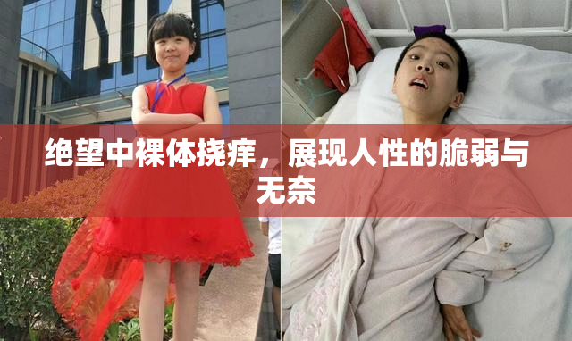 绝望中裸体挠痒，展现人性的脆弱与无奈