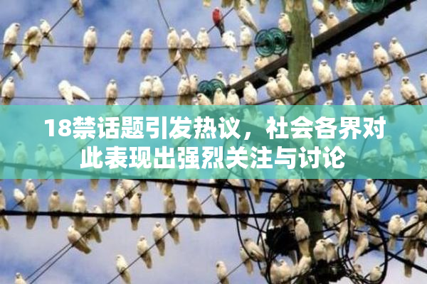 18禁话题引发热议，社会各界对此表现出强烈关注与讨论