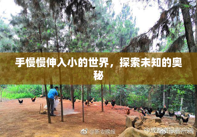 手慢慢伸入小的世界，探索未知的奥秘