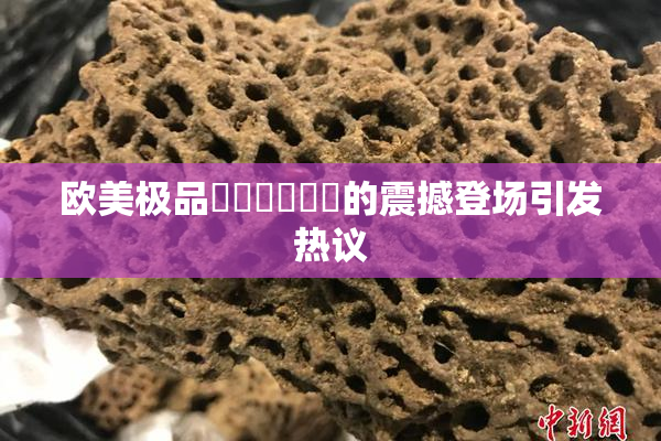 欧美极品❌‌❌‌❌‌的震撼登场引发热议