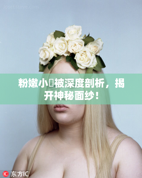 粉嫩小泬被深度剖析，揭开神秘面纱！