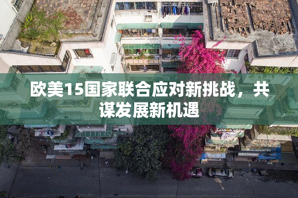 欧美15国家联合应对新挑战，共谋发展新机遇