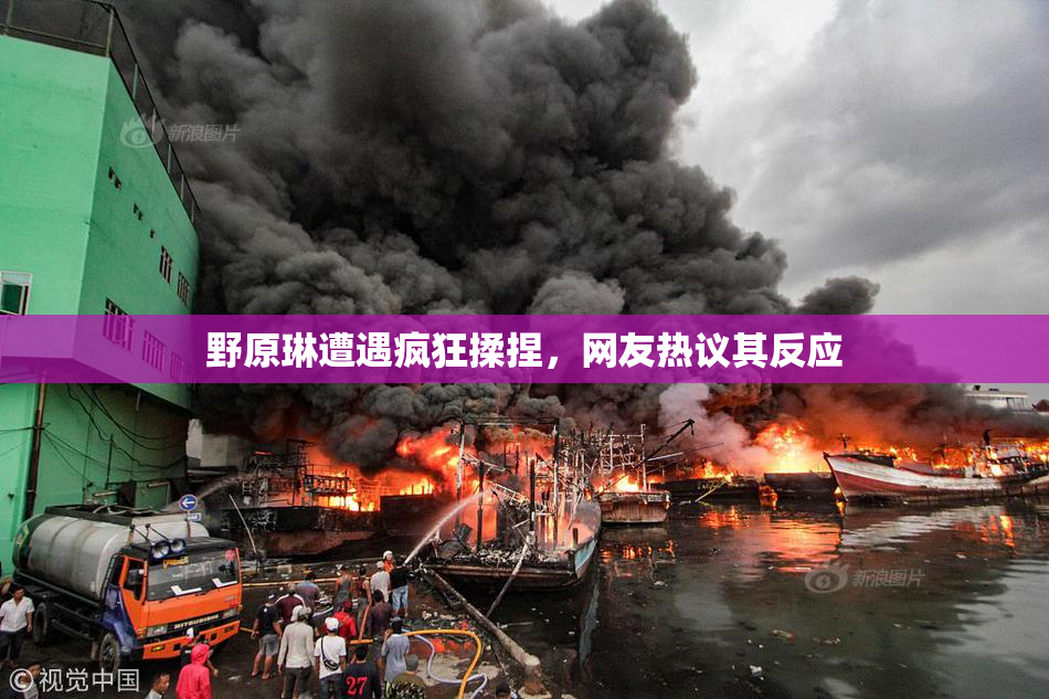 野原琳遭遇疯狂揉捏，网友热议其反应