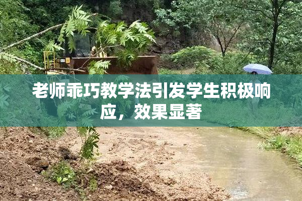 老师乖巧教学法引发学生积极响应，效果显著