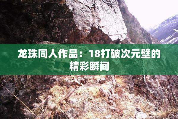 龙珠同人作品：18打破次元壁的精彩瞬间