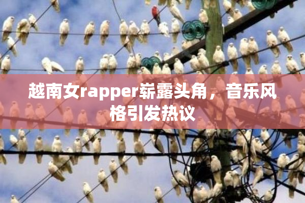 越南女rapper崭露头角，音乐风格引发热议