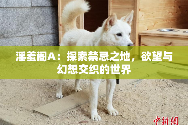 淫羞阁A：探索禁忌之地，欲望与幻想交织的世界