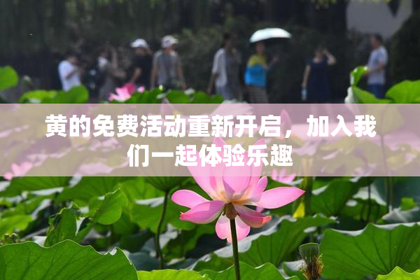 黄的免费活动重新开启，加入我们一起体验乐趣