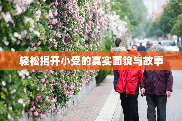 轻松揭开小受的真实面貌与故事