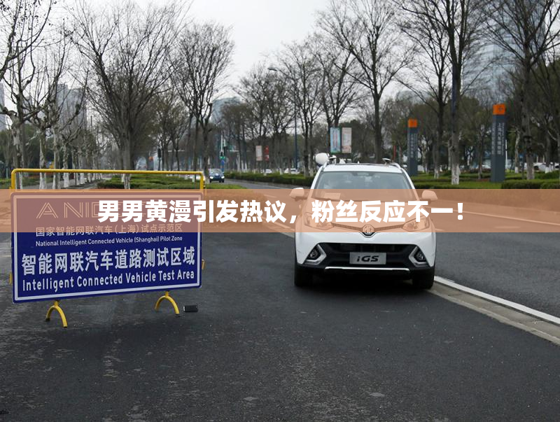 男男黄漫引发热议，粉丝反应不一！