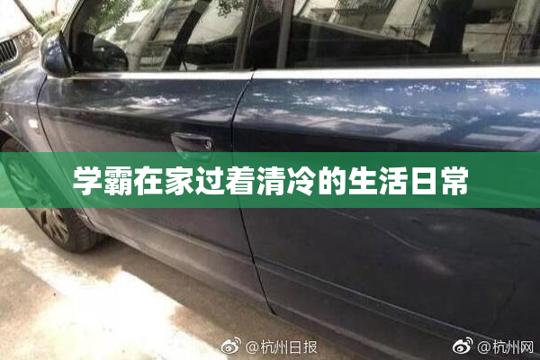 学霸在家过着清冷的生活日常