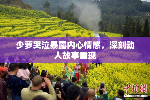 少萝哭泣暴露内心情感，深刻动人故事重现