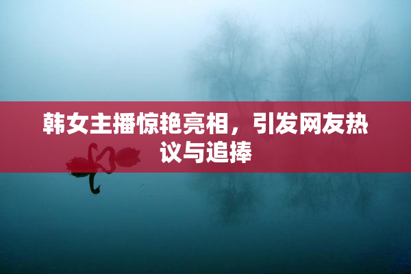 韩女主播惊艳亮相，引发网友热议与追捧