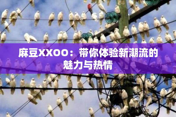 麻豆XXOO：带你体验新潮流的魅力与热情