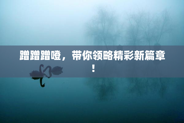 蹭蹭蹭噔，带你领略精彩新篇章！