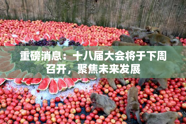 重磅消息：十八届大会将于下周召开，聚焦未来发展
