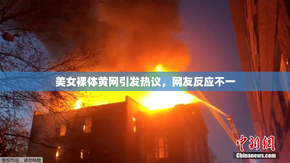 美女裸体黄网引发热议，网友反应不一