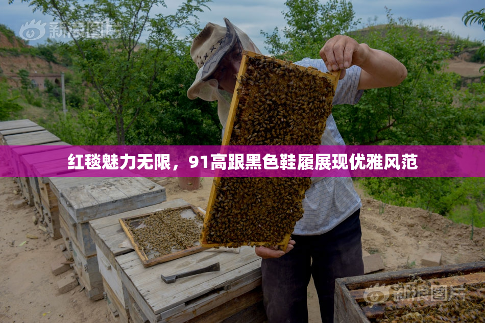 红毯魅力无限，91高跟黑色鞋履展现优雅风范