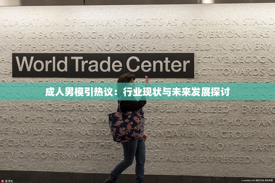成人男模引热议：行业现状与未来发展探讨