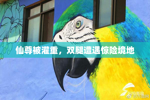 仙尊被灌重，双腿遭遇惊险境地