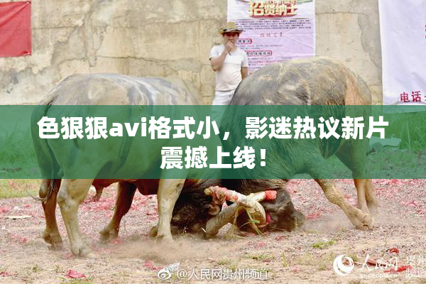 色狠狠avi格式小，影迷热议新片震撼上线！