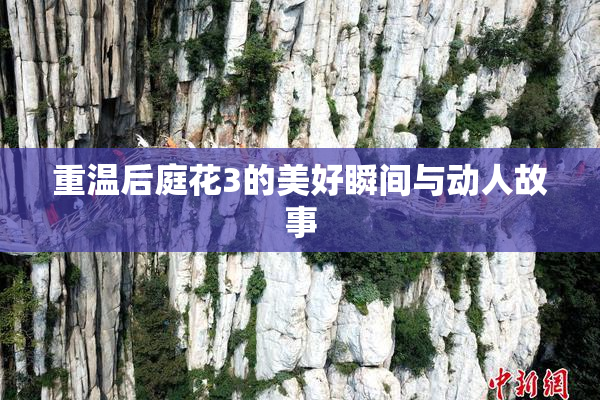 重温后庭花3的美好瞬间与动人故事