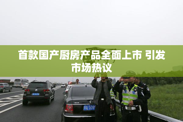 首款国产厨房产品全面上市 引发市场热议
