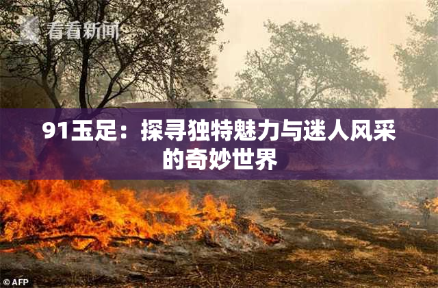 91玉足：探寻独特魅力与迷人风采的奇妙世界