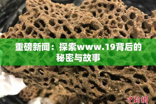 重磅新闻：探索www.19背后的秘密与故事