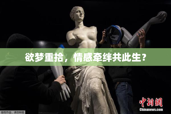 欲梦重拾，情感牵绊共此生？